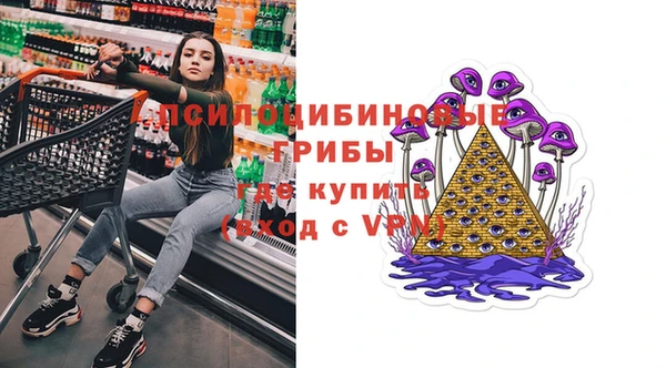 гашик Наволоки