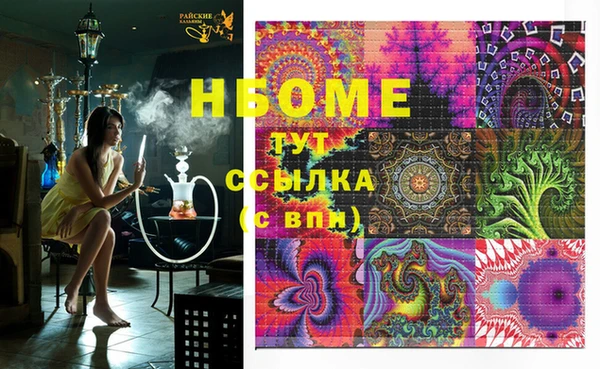 стаф Нефтегорск