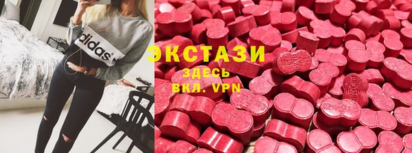 стаф Нефтегорск