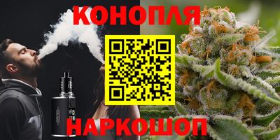 крисы Ирбит
