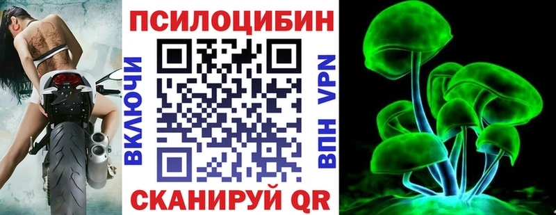 Галлюциногенные грибы Psilocybe  Североуральск 