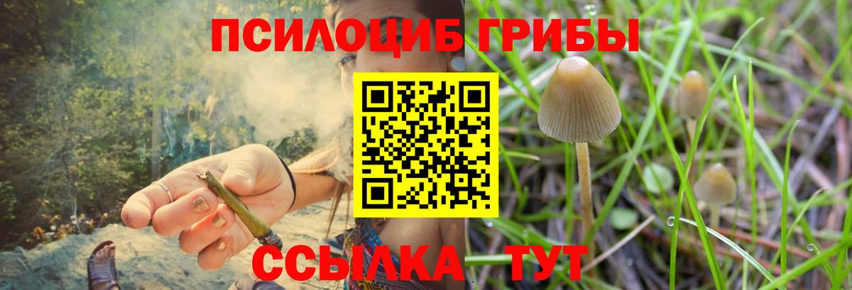 Псилоцибиновые грибы GOLDEN TEACHER  магазин  наркотиков  Вход с VPN  Североуральск  Псилоцибиновые грибы ЛСД 